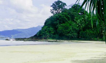 Besuch auf Palawan: Taifun im Tropenparadies