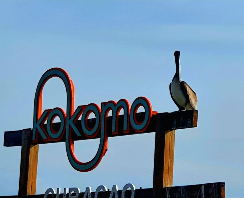 Kokomo Beach Schild mit Pelikan