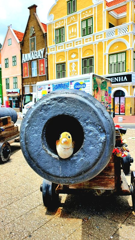 Kanone in Willemstad mit Mr. Sheffield